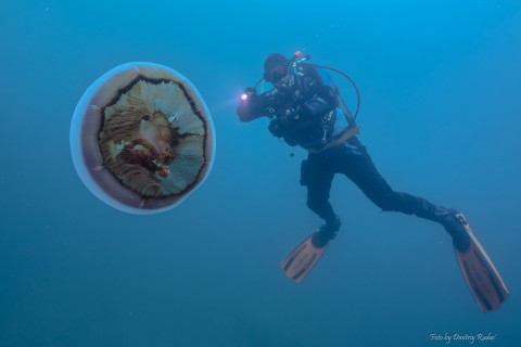 Эксперты назвали самые редкие вакансии в России