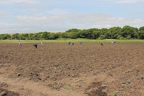 «Дальневосточный гектар» стал доступен всем россиянам еще в двух регионах