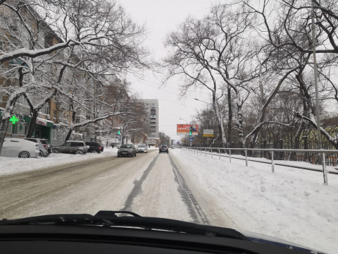 Месячная норма осадков выпала за минувшие сутки во Владивостоке