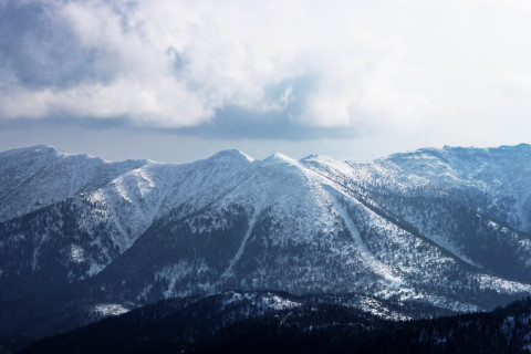 Губернатор не решает: новые подробности скандальной стойки на ДВ