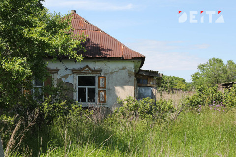 За борщевик на участках предложили штрафовать