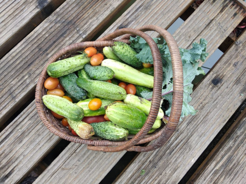 Роспотребнадзор рассказал об опасности мытых овощей