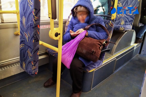 Бесплатный проезд в честь 8 марта подарят жительницам Хабаровска