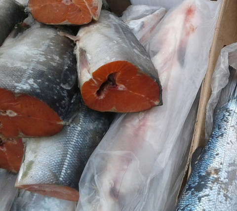 Обвал рубля подарил России дешевую рыбу