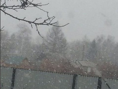 Снег пошел в Приморье