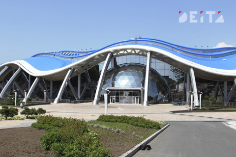 Организатору коммерческого подкупа при строительстве Приморского океанариума утвердили приговор