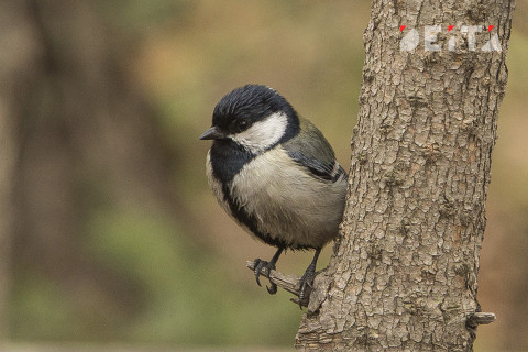 Синоптики рассказали, чего ждать от весны