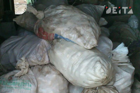 Картофель стал путешествовать с помощью РЖД вдвое активнее