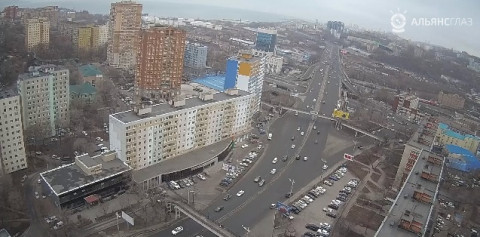 Ноль баллов: владивостокцы остались дома