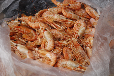 Приморские браконьеры добывают морепродукты тоннами