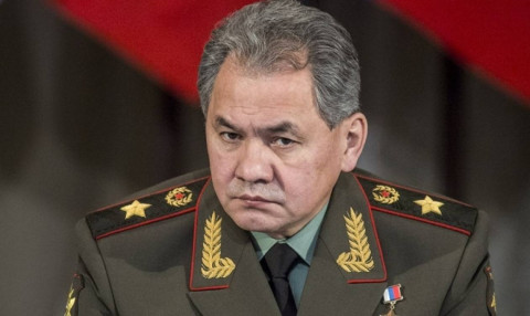 Шойгу показал, как российские войска обеззараживают Европу