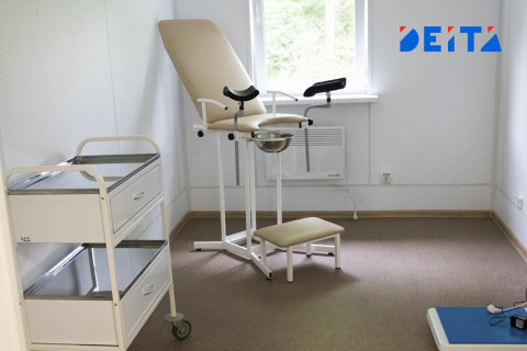 Лжегинеколог развёл россиянку на онлайн-приём