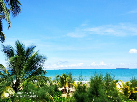 Кабмин рассказал, когда россияне смогут поехать на курорты