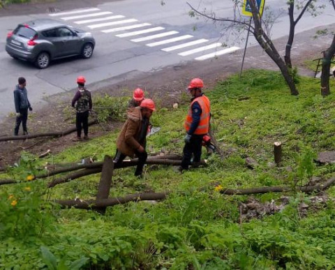 «Прямо под окнами!»: владивостокцы возмущены строительством очередного торгового центра
