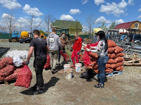 Жителям Артема раздали семенной картофель и семена овощных культур