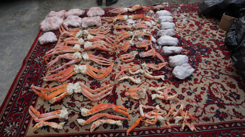 Нелегальные цеха с 4 тоннами морепродуктов нашли в Приморье