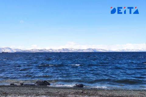 Морской терминал "Порт "Вера" продолжает поддерживать спорт, детей и общественников