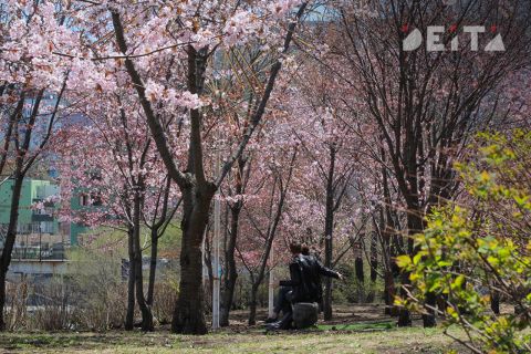 Климатический рекорд 80-летней давности побит во Владивостоке