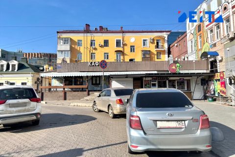 Парковочного мстителя обнаружили во Владивостоке