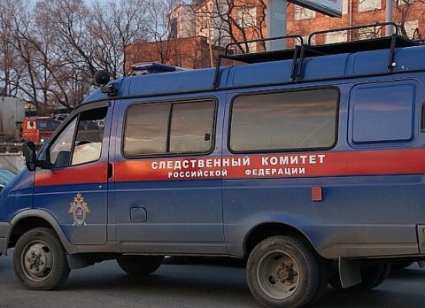Уголовное дело возбуждено по факту драки школьниц в Липовцах по поручению Бастрыкина