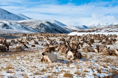 Ипотеку под 2% распространят на Арктику