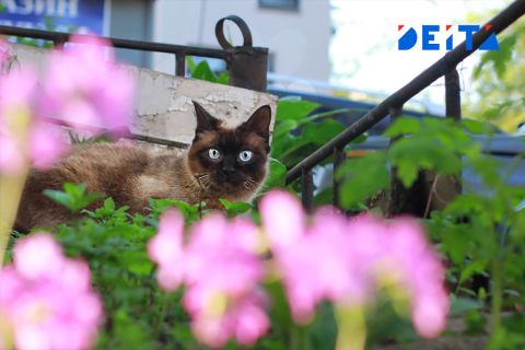 От первых заморозков до +28 °C: перепады температуры усиливаются в Приморье