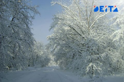 Перевалы Приморья припорошило снегом