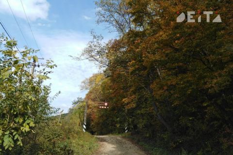После промозглого воскресенья приморцев порадуют тёплые солнечные дни