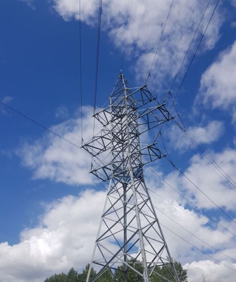 Хабаровские электрические сети проводят уроки электробезопасности