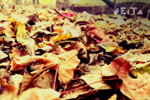 Приморье ждёт потепление и сухая погода в выходные