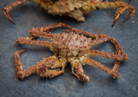 Крабовая афера: в Приморье поймали браконьеров на миллионах ущерба