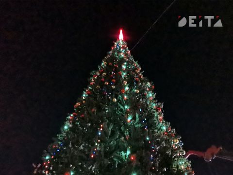 Снега во Владивостоке на Новый год не будет