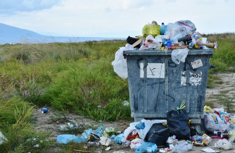 Дальний Восток не справляется с мусорными отходами