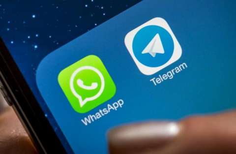 Telegram обогнал WhatsApp в Приморье