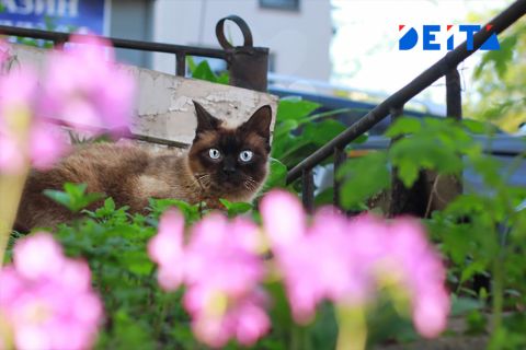 Солнечный вторник обещают синоптики в Приморье