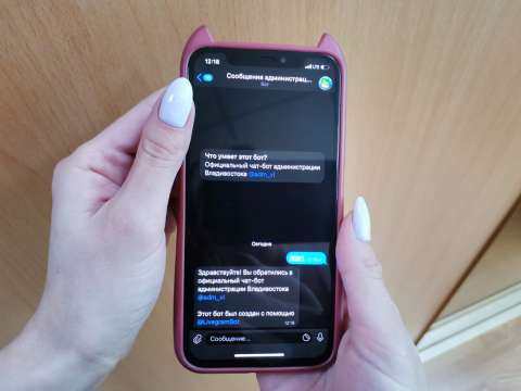 Виртуальный помощник администрации Владивостока работает в Telegram