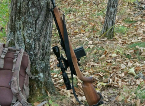 Охоту на некоторые виды полностью запретят в России