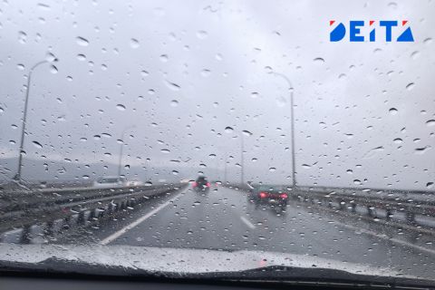 Дожди пройдут в четверг в Приморском крае