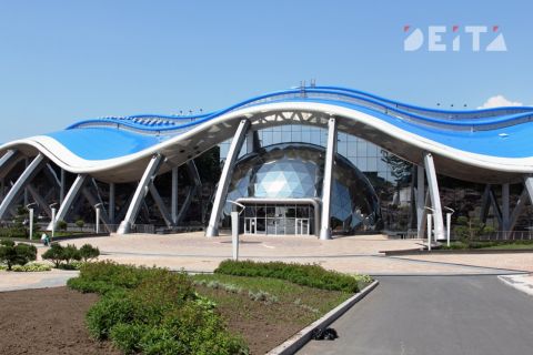 Уголовное дело возбудили после проверки в Приморском океанариуме
