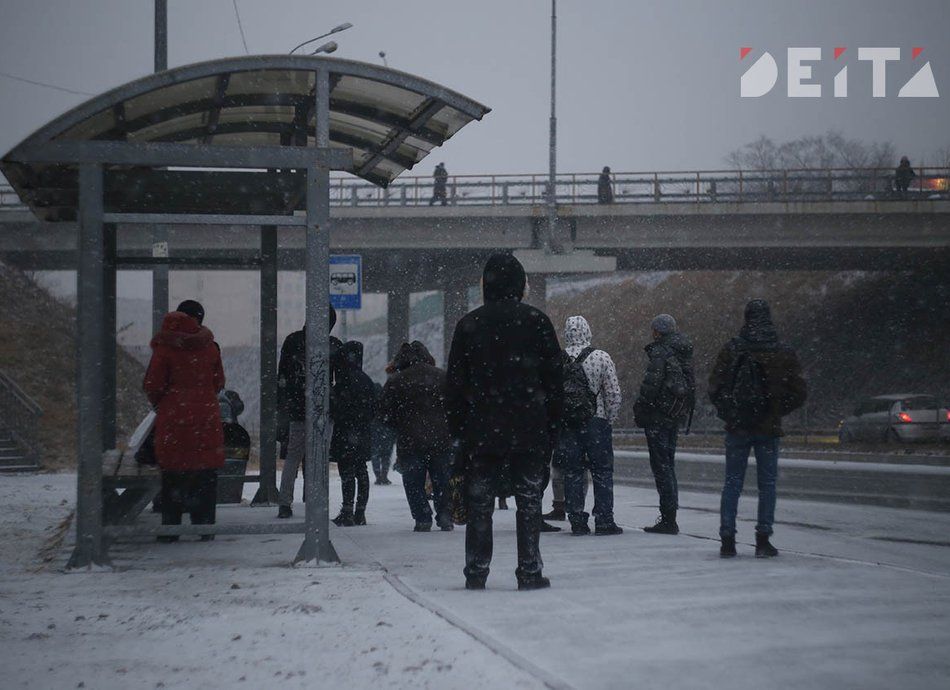 Контрольно-счётная палата Владивостока недовольна чиновниками, ответственными за общественный транспорт
