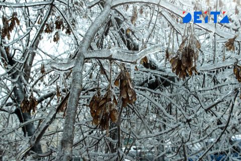 В Приморье усилятся ночные морозы