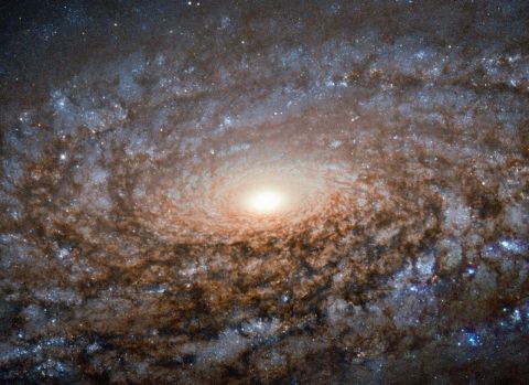 Россияне в опасности: астрологию назвали лженаукой