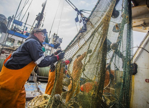 Рыбаков не выпустят в море без прививки от коронавируса
