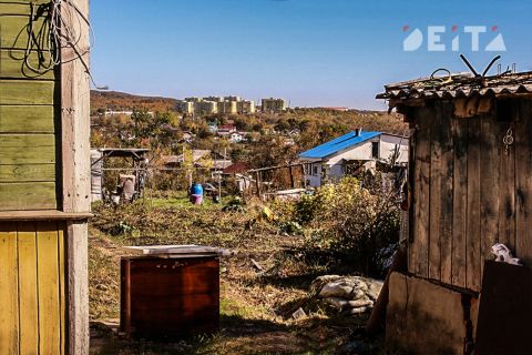 Не только бытовой мусор, но и биологические отходы не хотят убирать коммунальщики Надеждинского района