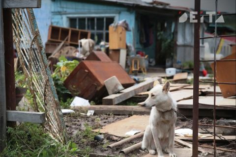 Какие штрафы ждут дачников в этом сезоне, напомнил депутат