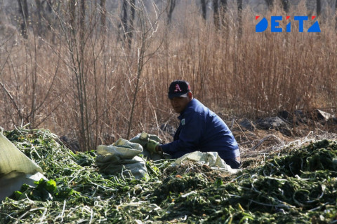 В Кремле заявили о предопределённости сокращения трудоспособного населения