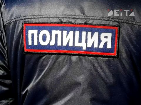 Полицейские во Владивостоке разыскивают ночного автовандала