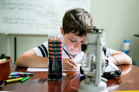 А вдруг опять карантин: россияне скупают парты и светильники