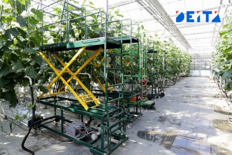 Миллиарды вложены в продовольственную безопасность Приморья