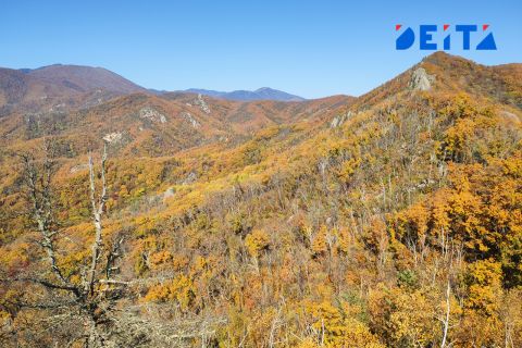 Утром в куртке, днем в футболке: осень пришла в Приморье